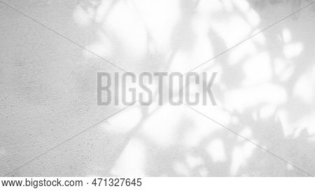 Shadow Spring On Wall Background,abstract Overlay Shady Soft Exterior Leaves Tree,nature Overlay Fro