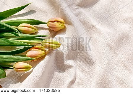 Colorful Tulips On Linen Fabric. Yellow Tulips On Wrinkled Coton Of Champagne Color. Muted Tone. Spr