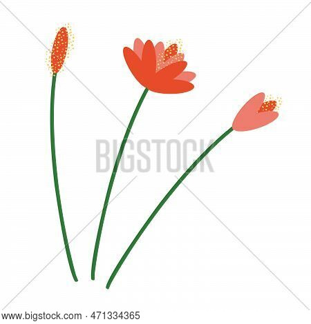 Twigs With Orange Flowers. Vector Illustration Of Stylized Plants In Cartoon Style. Isolated On A Wh