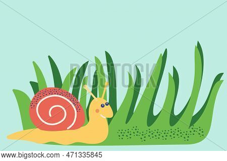 Snail, Grass. Vector Illustration Of Stylized Plants And Insects In Cartoon Style. Isolated On A Blu