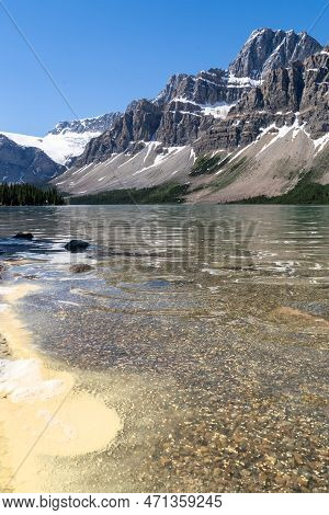 Yellow Algae In The Water In Bow Lake In Banff National Park