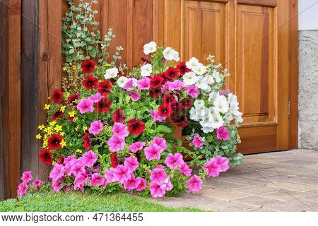 Varieties Of Hanging Petunias And Surfinia Flowers In The Pot . Summer Garden Inspiration For Contai