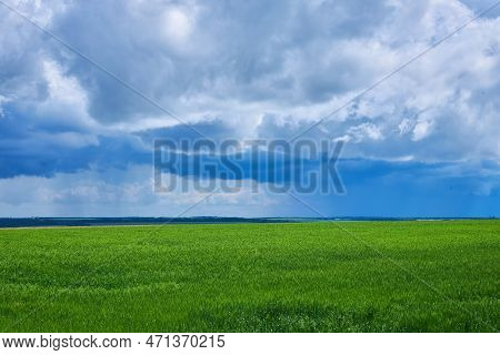Fields Of Ukraine, Grains Sky, Green Grass