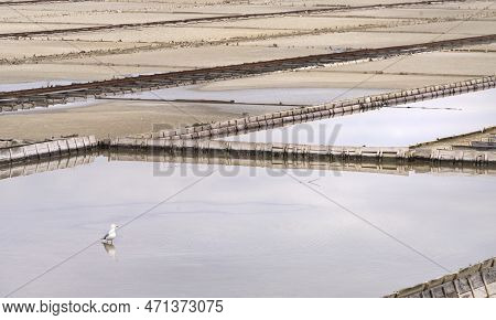 Winter Panoramic View Of Marine Pools In Secovlje Salt Pan, Slovenia