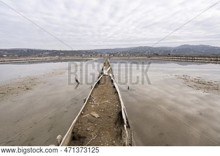 Winter Panoramic View Of Marine Pools In Secovlje Salt Pan, Slovenia