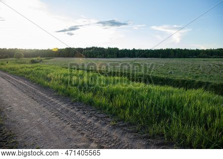 Peyjaz From The Forest And Field, Bright Summer Weather, Blue Sky.