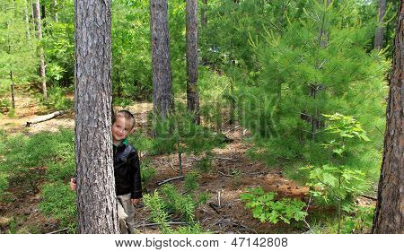 Adorable little boy peeking out from tree