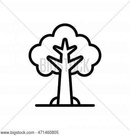 Black Line Icon For Tree Plant Foliage Greenstuff Environment Nature Botany Branch Timber Forest Gre