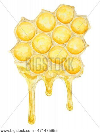 Watercolor Hand Drawn Honey Isolated On White Background