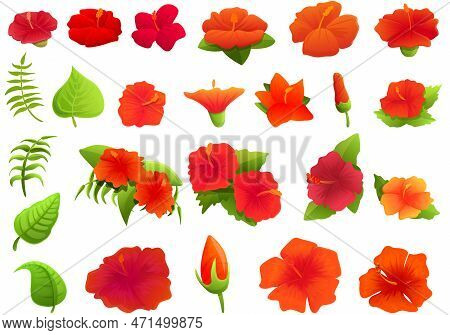 Hibiscus Icons Set. Cartoon Set Of Hibiscus Icons For Web Design