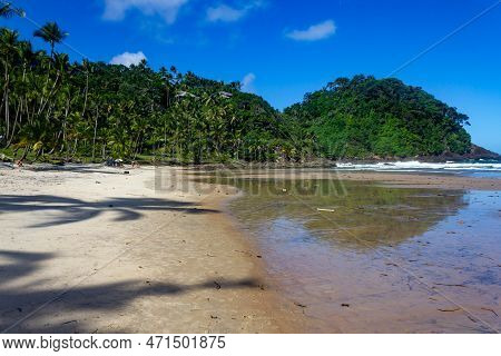 Forest And  Waves At Sao Jose Beach