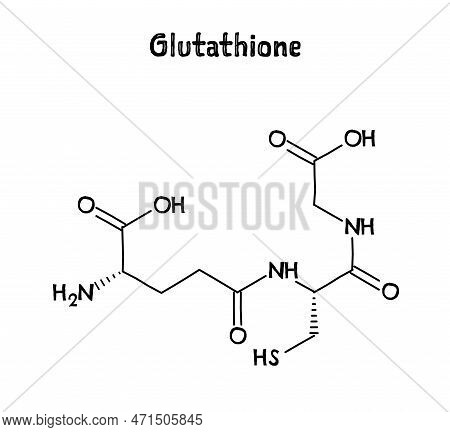 Glutathione Molecular Structure. Glutathione Is An Antioxidant In Plants, Animals, Fungi, Bacteria A