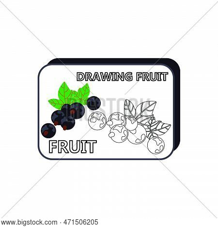 How To Draw Blueberries Vector Illustration. Draw Blueberry Step By Step. Blueberry Drawing Guide. C