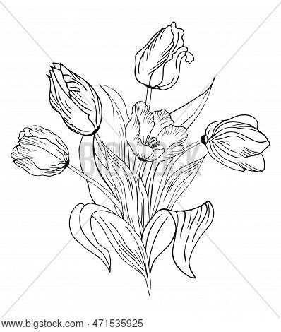 Beautiful Realistic Flowers, Tulips. The Composition Is Drawn By Hand. Great Idea For Invitations, P