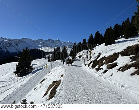 Excellently Arranged And Cleaned Winter Trails For Walking, Hiking, Sports And Recreation In The Are