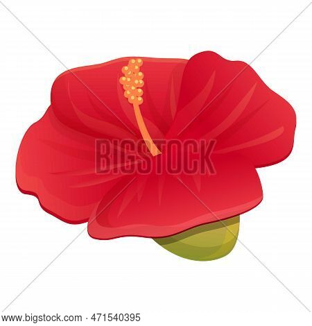 Carmine Hibiscus Icon. Cartoon Of Carmine Hibiscus Icon For Web Design Isolated On White Background