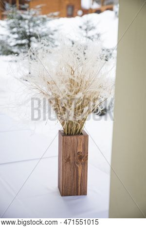Minimal Still Life Of Dry Miscanthus, Or Silvergrass In A Glass Vase. Selective Focus