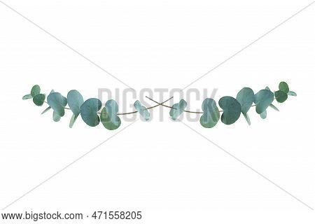 Eucalyptus Isoliert On White Background. Flower Garland Of Eucalyptus Branches. Top View Flat Lay. B