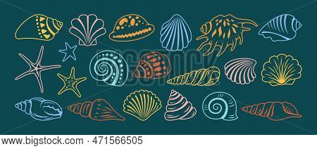 Sea Shell Sink Doodle Cartoon Set. Ocean Ornamental Exotic Underwater Seashell Conch Aquatic Mollusk