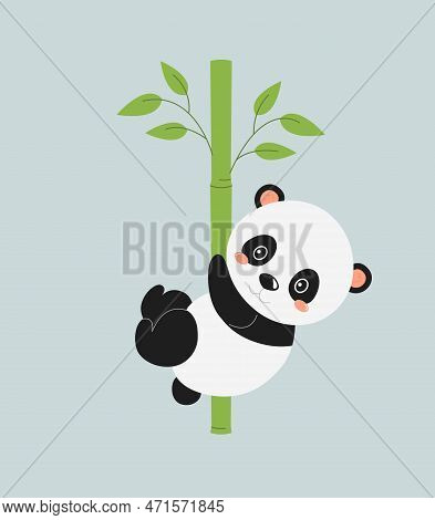 Cute Panda With Bamboo. Asian Flora And Fauna. Mammal, Wilf Life And Animal. Biology And Zoology, Zo