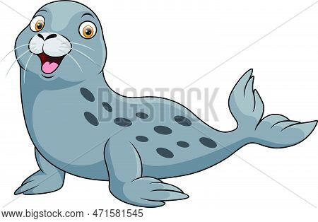 Vector Illustration Of Cute Baby Seal On White Background