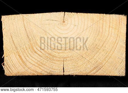 Cross Section Of A Pine Log With Annual Rings On A Black Background