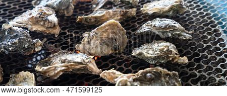 Grilled Fresh Oyster In Taiwan, Famous Street Food.