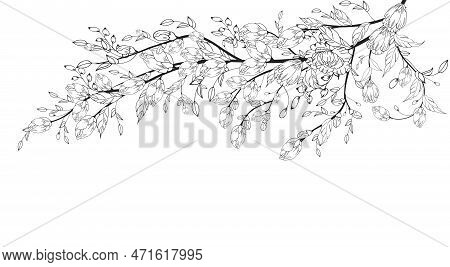 A Beautiful Blooming Branch