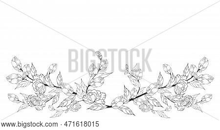 A Beautiful Blooming Branch, Richly Decorated With Flowers, Buds, And Leaves. Hand Drawing.