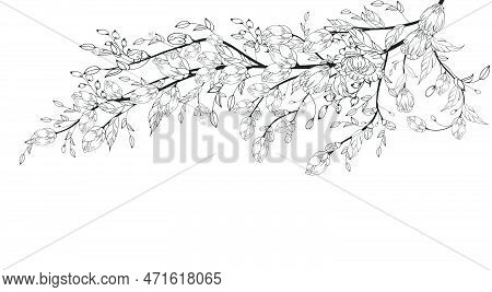 A Beautiful Blooming Branch