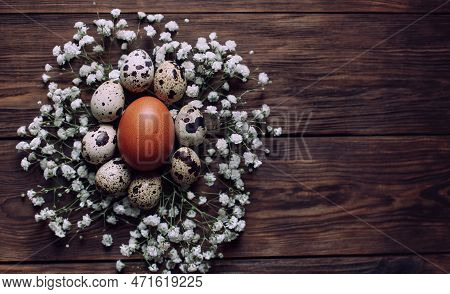 Brown Egg Surrounded With Quial Eggs In Nest Of Gypsophila Flowers On Rustic Wooden Background. East