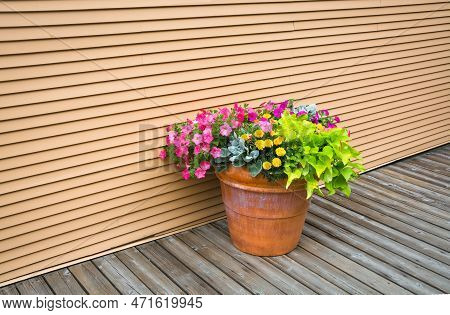 Decorative Flowers On Wooden Pavement Of The Street