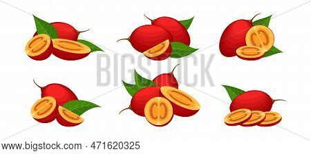 Tree Tomato Fruits. Cartoon Whole Sliced Half Tamarillos With Leaves, Orange Tamarillo Graphic Isola