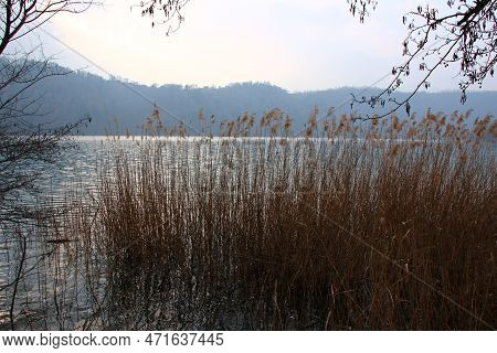 Italy, Trentino Alto Adige: Foreshortening Of Levico Lake.