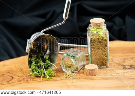 Green Oregano Origanum Vulgar Delicious Kitchen Herbs