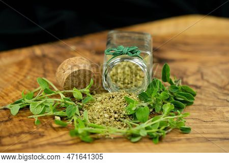 Green Oregano Origanum Vulgar Delicious Kitchen Herbs