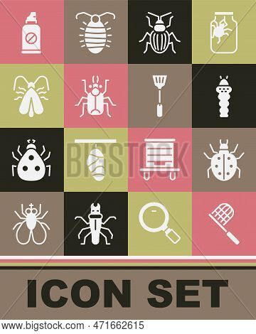 Set Butterfly Net, Mite, Larva Insect, Chafer Beetle, Beetle Bug, Clothes Moth, Spray Against Insect