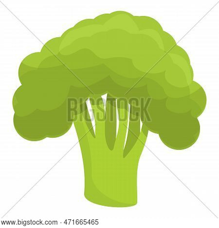 Broccoli Icon. Cartoon Of Broccoli Icon For Web Design Isolated On White Background