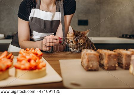 A Cat In An Apron And A Cap Rolls Out The Dough. Cooking At Home.