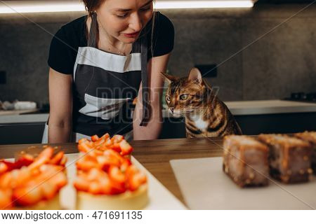 Cat Looking Chocolate Cake In Cat Cafe.