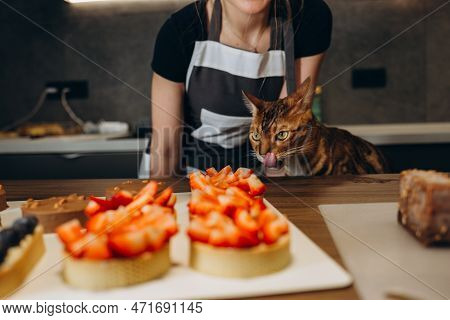 The Cat In The Apron Is Eating Dough In The Kitchen. Close-up