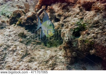 Digitally Created Watercolor Painting Of Balistes Vetula The Queen Triggerfish Or Old Wife A Reef Dw