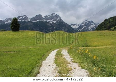 Montagne e prato verde