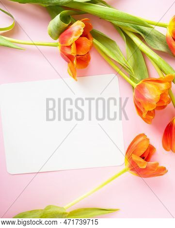 A Beautiful Bouquet Of Orange Peony Tulips Along With A White Card In The Middle Isolated On A Pink 