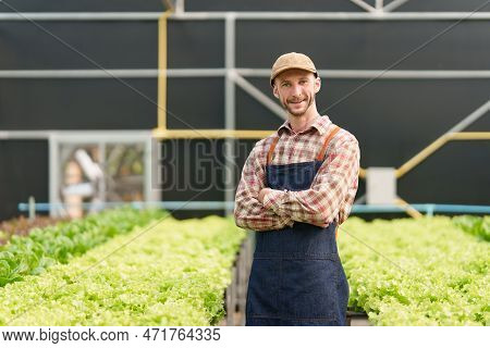 Businessperson Or Farmer Checking Hydroponic Soilless Vegetable In Nursery Farm. Business And Organi