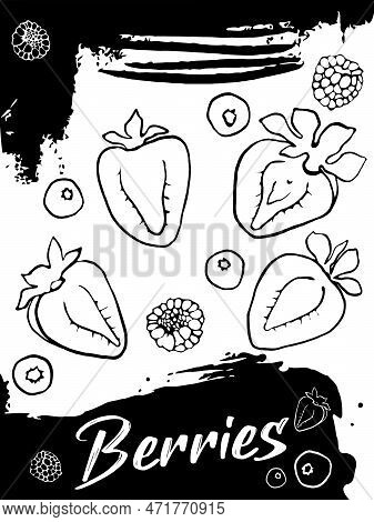 Strawberry Doodle Set. Berries Vector Elements Set.