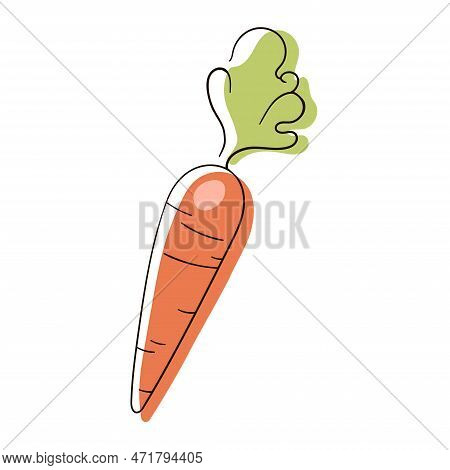 Carrot Line Drawing. Flat Illustration Of Carrot Vector Isolated On White Background.