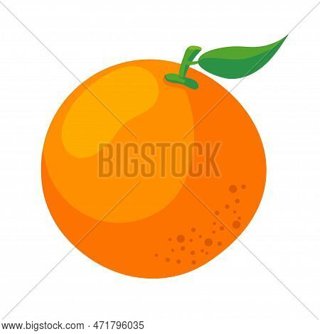 Orange Fruit. Vector Illustration Of An Orange. Isolated Orange. Isolated Image.