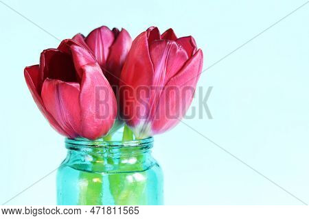 Bouquet Of Spring Tulips In A Jar On A Blue Background, Side View. Flowers With Empty Space