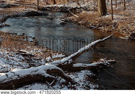 Hammel Creek Flows Through A Winter Forest, Hammel Woods Forest Preserve, Will County, Illinois
